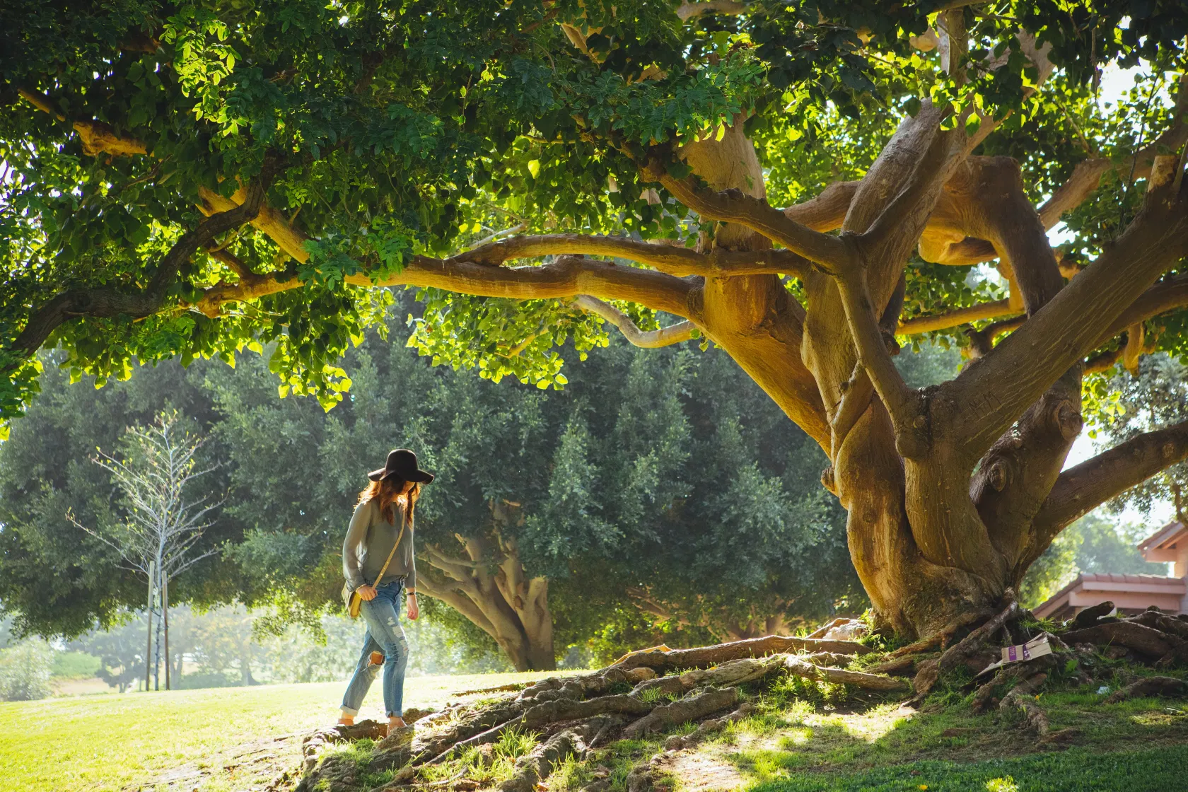 Frau und Natur