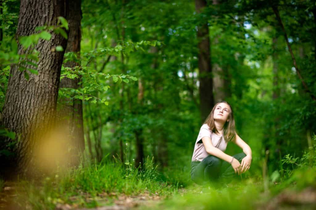 Wald Waldbaden European Ayurveda